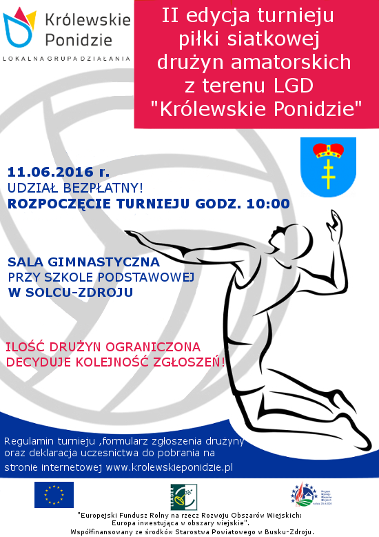 Plakat Siatk&oacute;wka sm2